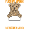 Cairn Terrier Dog