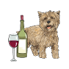 Cairn Terrier Dog