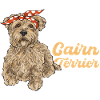 Cairn Terrier Dog