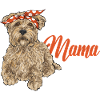 Cairn Terrier Dog