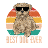 Cairn Terrier Dog