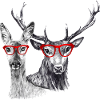 Deer and doe