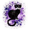 Katze