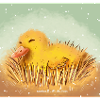 happy duck