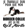 border collie 7