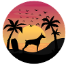 Dobermann Propriétaire Beach Sunset Palmiers