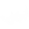 Requin-marteau maori Requin