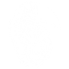 Oiseau toucan maori