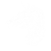 Maori Zebra Head