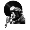 MC monkey .