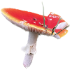 Homesaleor Toadstool