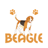 Beagle Geschenk Beagle Besitzer