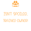 Beagle Gift Beagle Owner