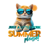 Chat d’été