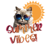 Summer vibes - cat