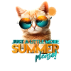 Summer cat