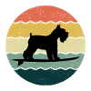 Miniature Schnauzer Dog Surfing Vintage Retro