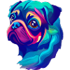 Pug
