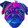 Pug