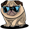 Mops