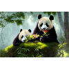 Pandas im Wald
