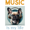 muic is mylife
