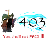 403 You shall not pass