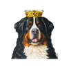 King Bailey