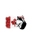 Maple Leaf - Huskies - Canada