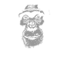 Senegal - Chimpanzees
