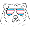 Trans Transgender Pride Flagge