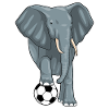 Elephant Football Player Football