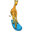 Giraffsurfing surfbräda sommar