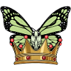 Couronne de papillon