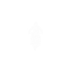 Motorrad Spruch