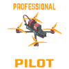 Professional Drone Pilot