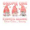 Gnome One Bekämpft Gebärmutterkrebs