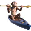 Singe dans un kayak