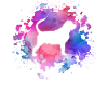 Bloodhound dog lover