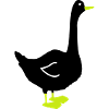 gans