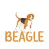 Beagle Gift Beagle Owner