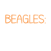 Beagle Gift Beagle Owner