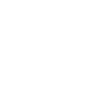 Brow Artist