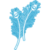 Peacock Feathers