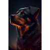 Rottweiler Hund Dog