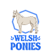 Easily distracted by Welsh Ponies