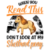 Shetland Pony Gift Shetty