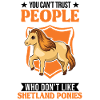 Shetland Pony Gift Shetty