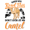 Kamel Geschenk Dromedar Camel Großkamel