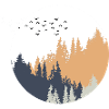Forest 12